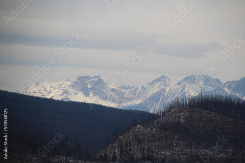 Snow Ridge, Jasper National Park, Alberta © Michael Mamoon