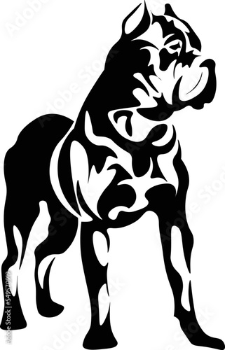 Black and White Cartoon Illustration Vector of a Bull Mastiff Puppy Dog Standing Guard
