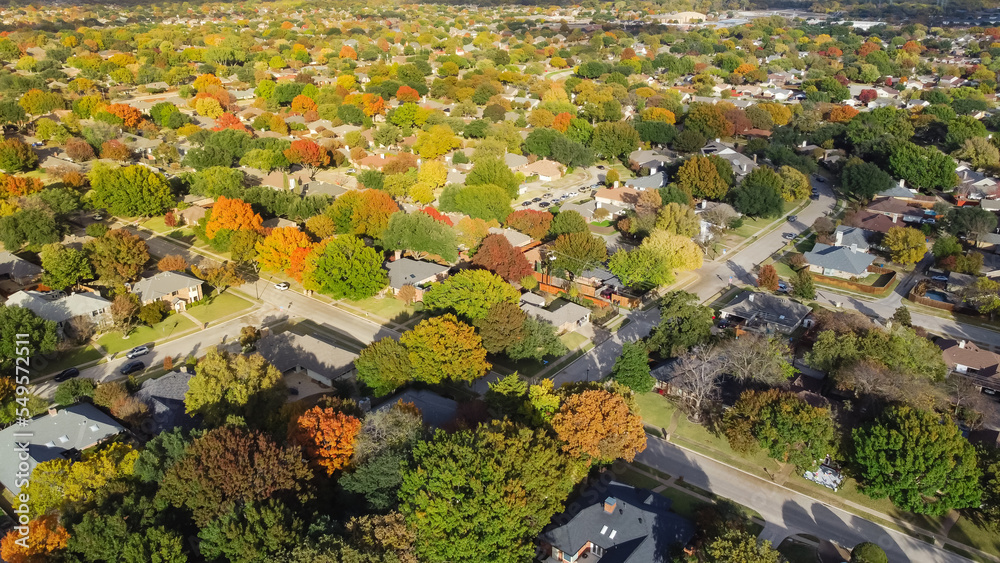 Subdivision sprawl colorful fall foliage, row of single family houses expanding to horizontal line near Dallas, Texas, US