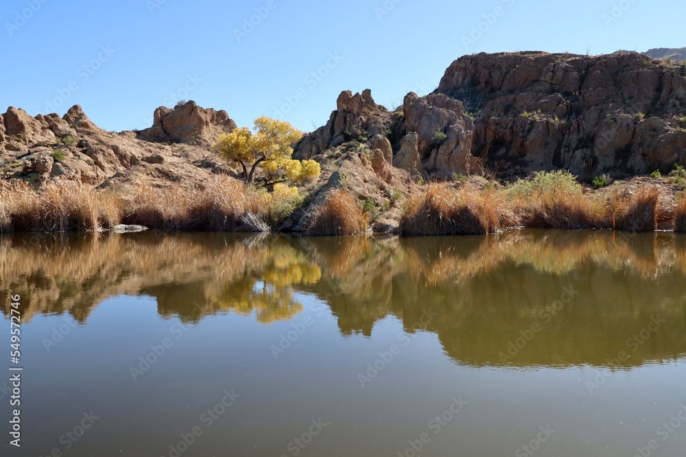A rare pond, in the desert of Arizona. A rare pond, in the desert of Arizona.