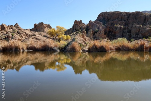 A rare pond, in the desert of Arizona. 