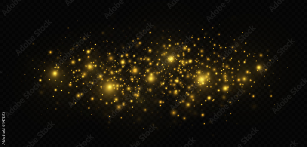 Sparkling magical dust particles. The dust sparks and golden stars shine with special light on a black transparent background. Golden shiny light effect