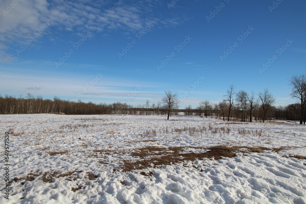 Snowy Land, Elk Island National Park, Alberta Snowy Land, Elk Island National Park, Alberta