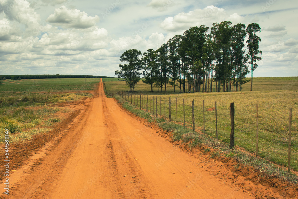 Red and orange dirt road, crossing a farm with pastures and a forest of tall trees on the right, on a cloudy day and in pastel tones, green, orange, red and blue colors.