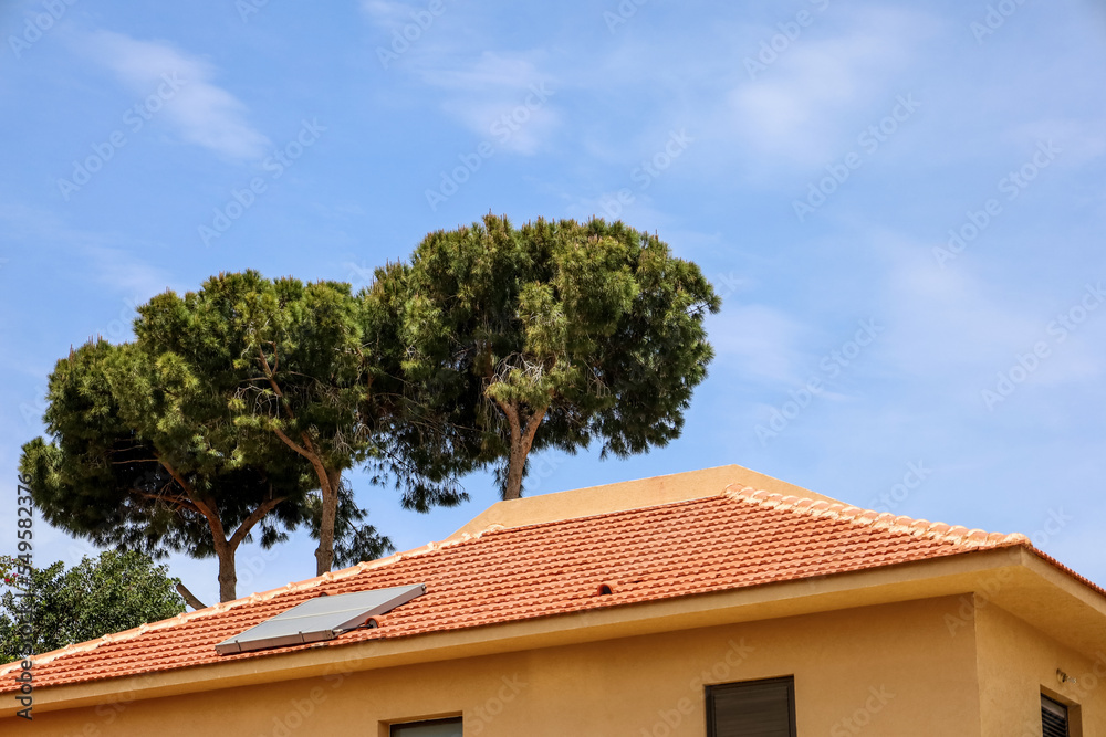 View of modern house with green pines View of modern house with green pines