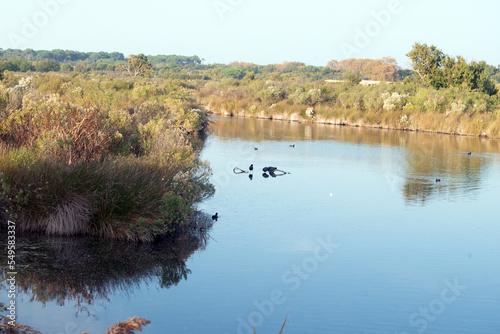 domaine de Certes photo