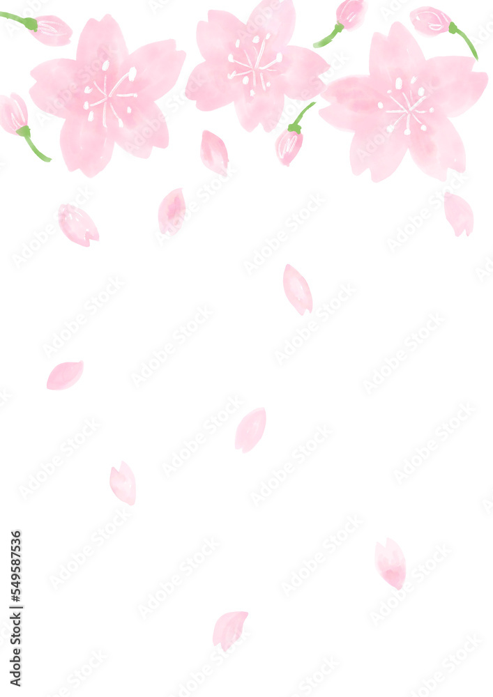 桜の背景透過素材 桜の背景透過素材