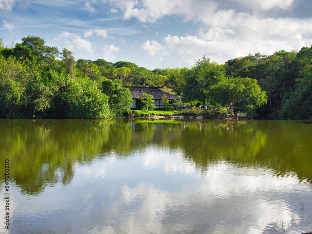 A walk in the park is a great way to get some fresh air, enjoy nature, and refresh your mind, If you’ve ever wanted to take a walk in the park, but can’t find the time, then this is for you.