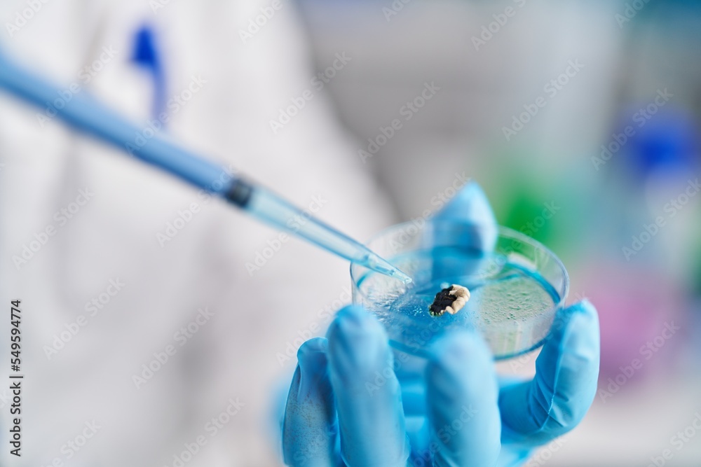Young hispanic man scientist working at laboratory Young hispanic man scientist working at laboratory