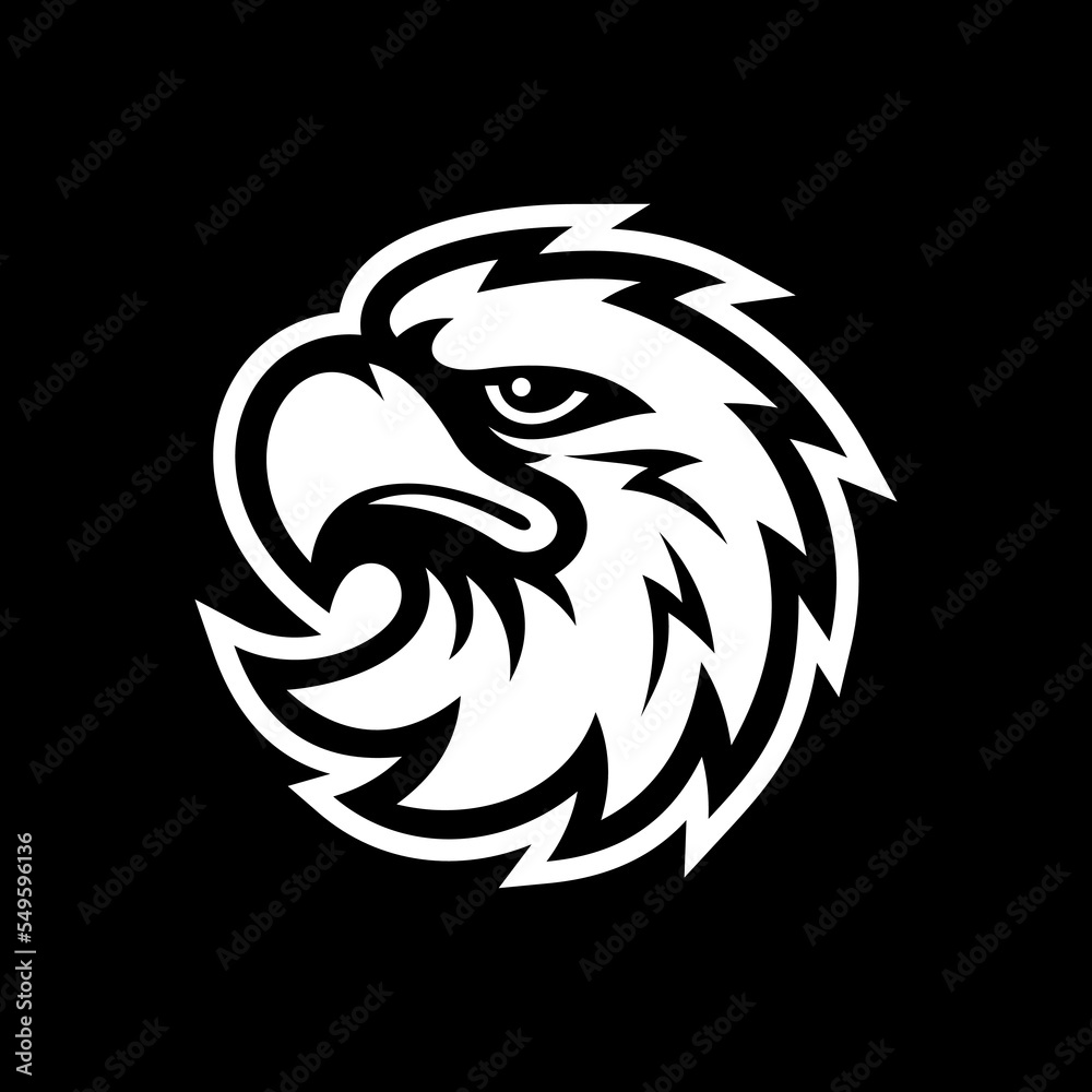 Bird head, falcon, hawk or eagle mascot line art on dark background Bird head, falcon, hawk or eagle mascot line art on dark background