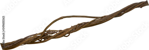 Obraz na płótnie Twisted dried Liana jungle vine.