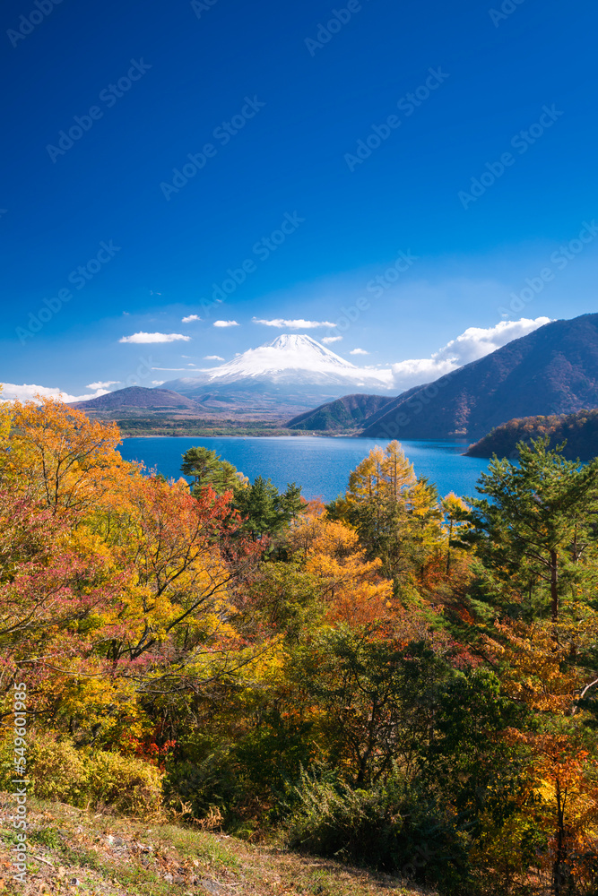 Fototapeta premium 紅葉の本栖湖と冠雪した富士山