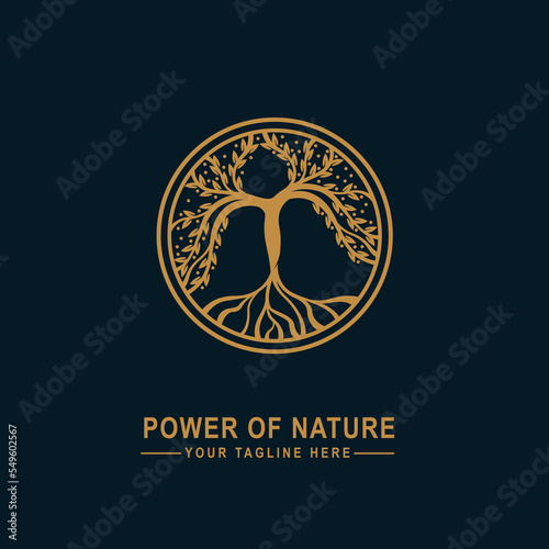 abstract nature tree logo symbol illustration design, family tree logo