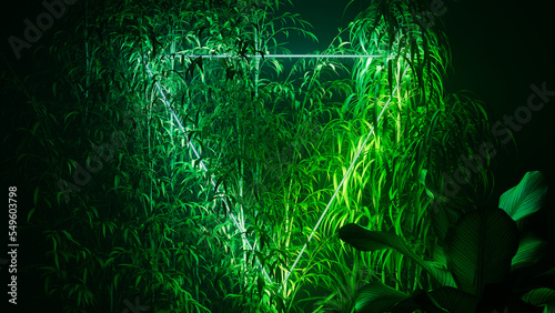 Blue and Green Neon Light with Tropical Plants. Triangle shaped Fluorescent Frame in Jungle Environment.