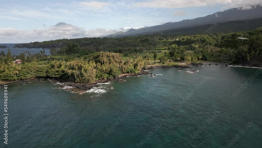 Aerial of Maui tropical coastline in Hawaii, green vegetation landscape