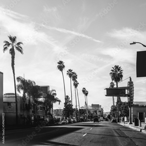 Hollywood Boulevard street landscape with palm trees in Los Angeles, California, USA, black and white retro-style photo photo