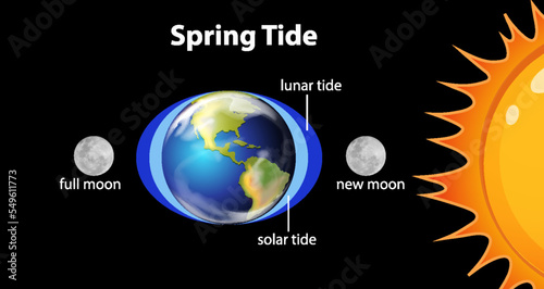 Diagram showing spring tides
