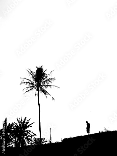 Calm man walking on path with herbs growing there. photo