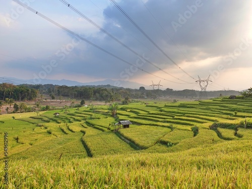 The hut in the middle of the fields from Java lndonesia photo