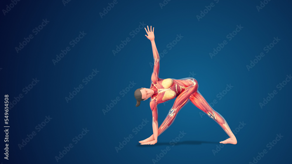 3D human Parivrtta Trikonasana yoga pose on blue background