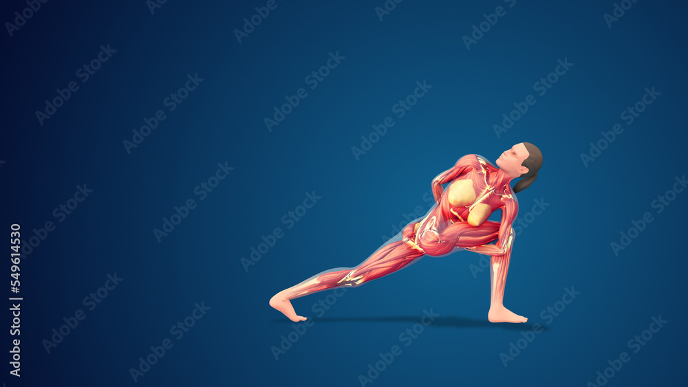 3D human Parivrtta Baddha Parsvakonasana or Revolved Side Angle yoga pose on blue background