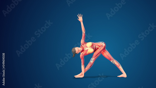3D human Parivrtta Trikonasana yoga pose on blue background © Cinefootage Visuals