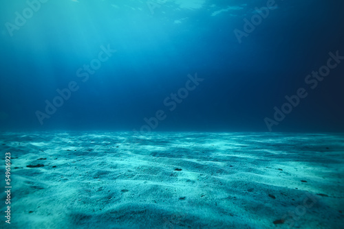 Fotobehang underwater world angle