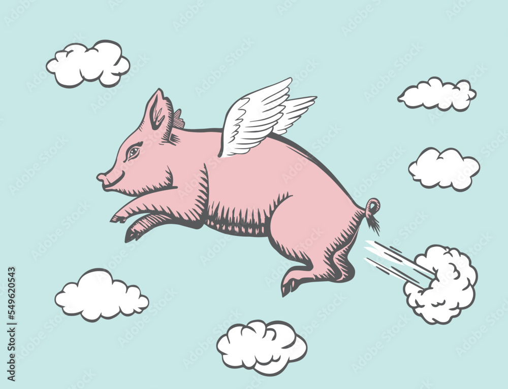 Fototapeta premium Flying Piggy. Vector illustration of flying pig.