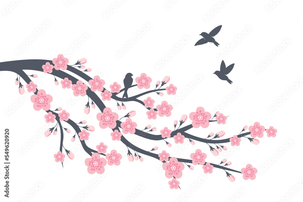 Cherry blossom branch with sakura flower Wall decoration Concept. Bird on branch wall decoration sticker design vector illustration Cherry blossom branch with sakura flower Wall decoration Concept. Bird on branch wall decoration sticker design vector illustration