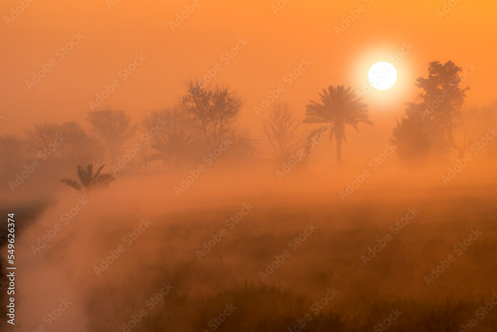 sunrise and sunset photos, beautiful orange light of sunset, landscape of sunset sunrise and sunset photos, beautiful orange light of sunset, landscape of sunset