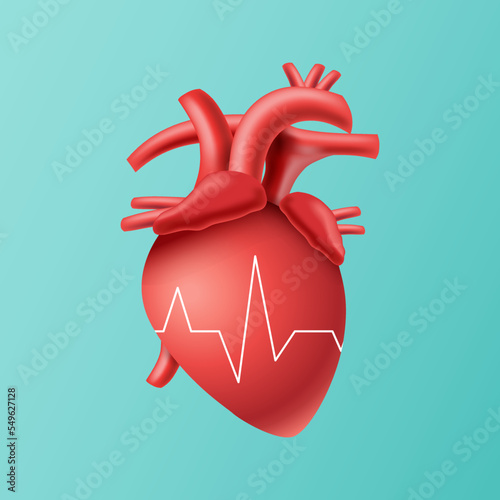 Vector realistic of human heart