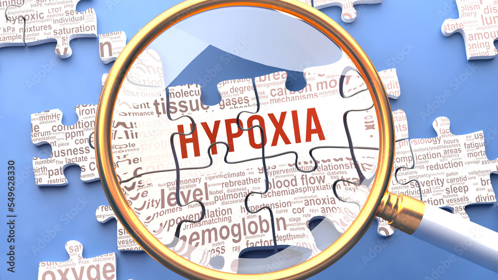 Ilustrace „Hypoxia as a complex and multipart topic under close