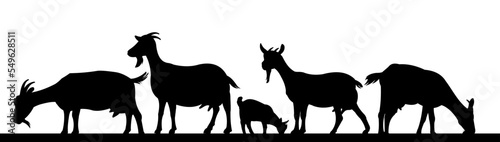 Goats grazing. Picture silhouette. Farm pets. Animals for milk and dairy products. Isolated on white background. Vector
