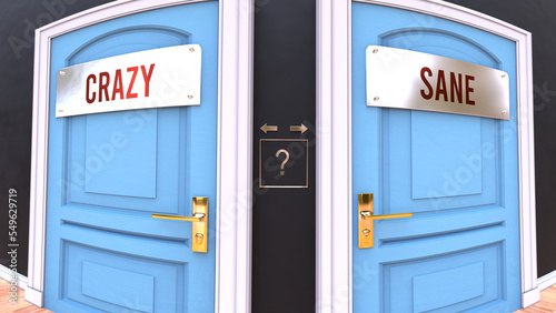 Crazy or Sane - a choice. Two options to choose from represented by doors leading to different outcomes. Symbolizes decision to pick up either Crazy or Sane.,3d illustration
