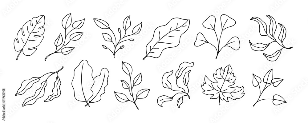 Fototapeta premium Leaves vector sketch set. Hand drawn decorative elements
