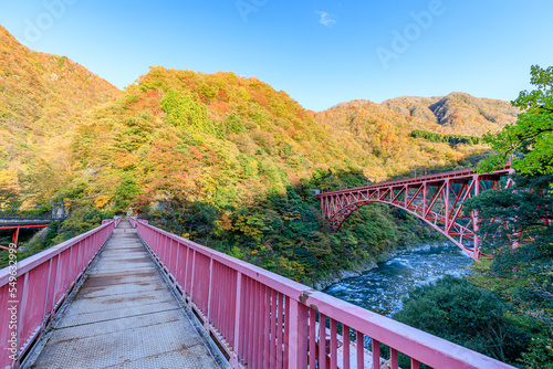 秋の黒部峡谷　新山彦橋と山彦橋　富山県黒部市　Kurobe Gorge in Autumn. Shinyamabiko Bridge and Yamabiko Bridge. Toyama Prefecture Kurobe city.