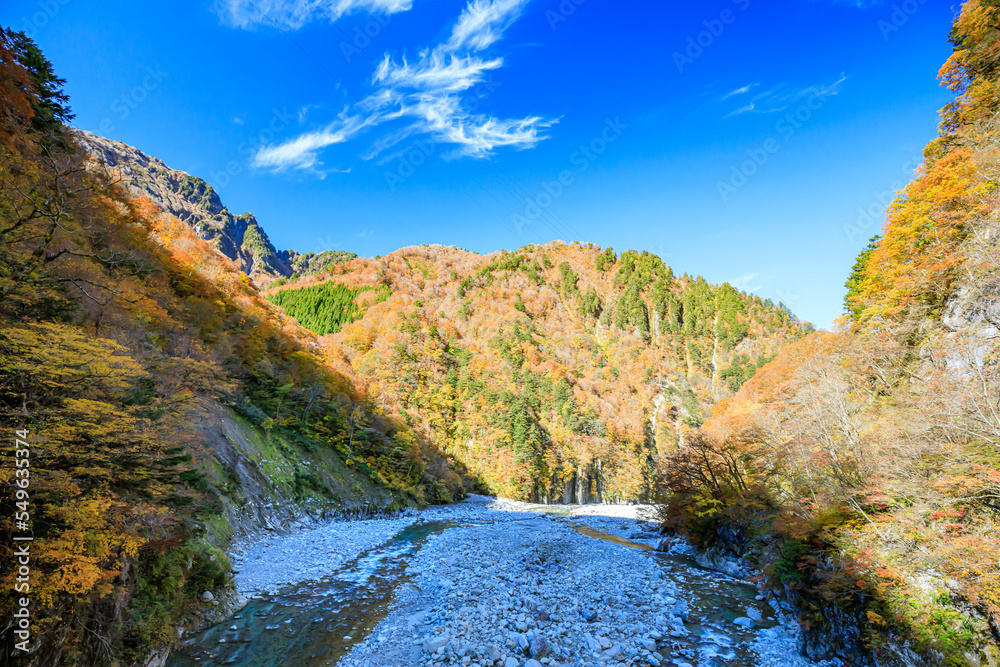 秋の黒部峡谷 トロッコ電車から見た錦繍関 富山県黒部市 Kurobe Gorge in Autumn. Kinsyukan as seen from the trolley train. Toyama Prefecture Kurobe city. 秋の黒部峡谷 トロッコ電車から見た錦繍関 富山県黒部市 Kurobe Gorge in Autumn. Kinsyukan as seen from the trolley train. Toyama Prefecture Kurobe city.