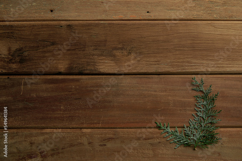 pine leaves on vintage wooden background, winter mood