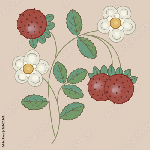 Blooming branch of strawberry plant with flowers and ripe berries. On pink background.