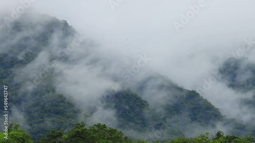 Mist flowing through the mountain valley at Khao Yai National Park, Thailand