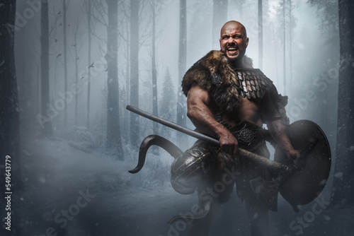 Portrait of violent barbaric viking dressed in armor shield and axe in frost forest.
