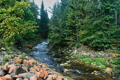 Czech Republic - view of the river Elbe near the town of Spindleruv Mlyn photo