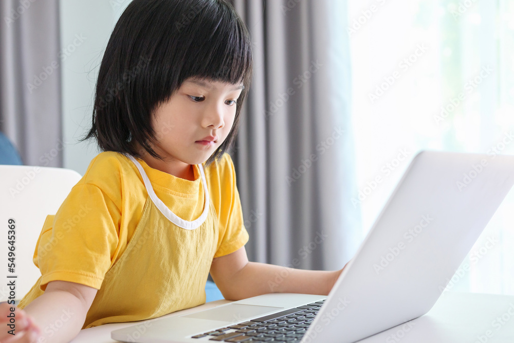 little asian girl student study online using laptop computer at home little asian girl student study online using laptop computer at home