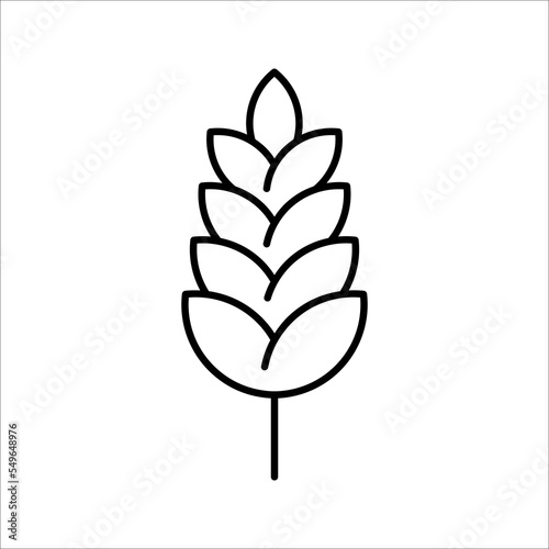 Farm wheat ears icon vector template. color editable on white background. eps 10