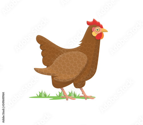 Brown hen isolated. Chicken picture. Farm bird. Farming, agriculture concept. Flat vector illustration.