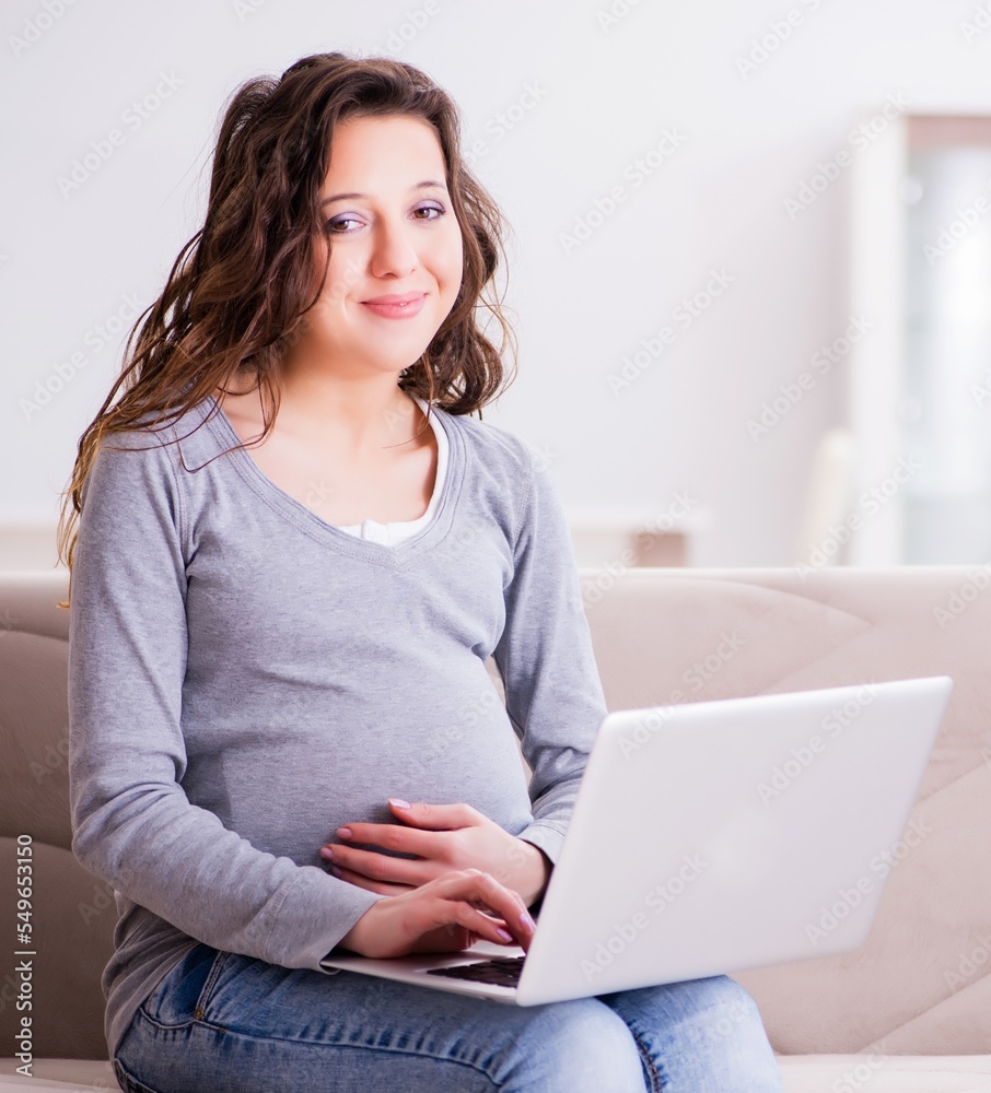 Naklejka premium Pregnant woman working on laptop sitting on sofa
