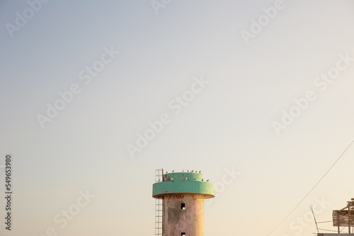 Seagulls on the lighthouse tower at the coast of Morocco photo