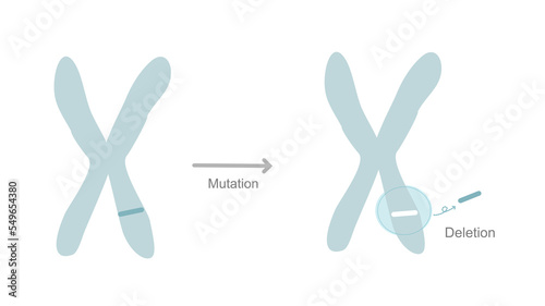The mutation type : Deletion that showed the mutation site on chromosome