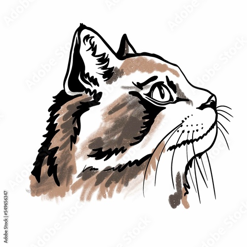 Portrait of a cat in profile. Fece kitten. Watercolor digital illustration isolated on white background