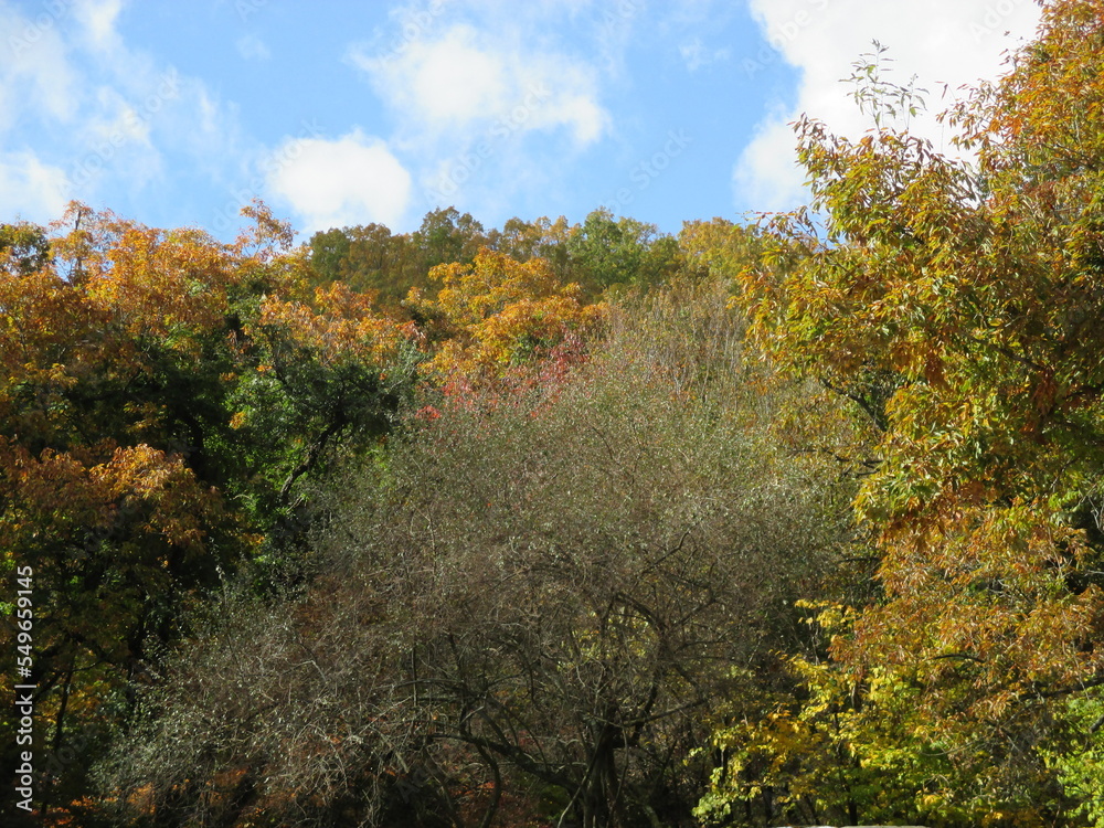 熊本県阿蘇郡南小国町、マゼノ渓谷の美しい紅葉の風景